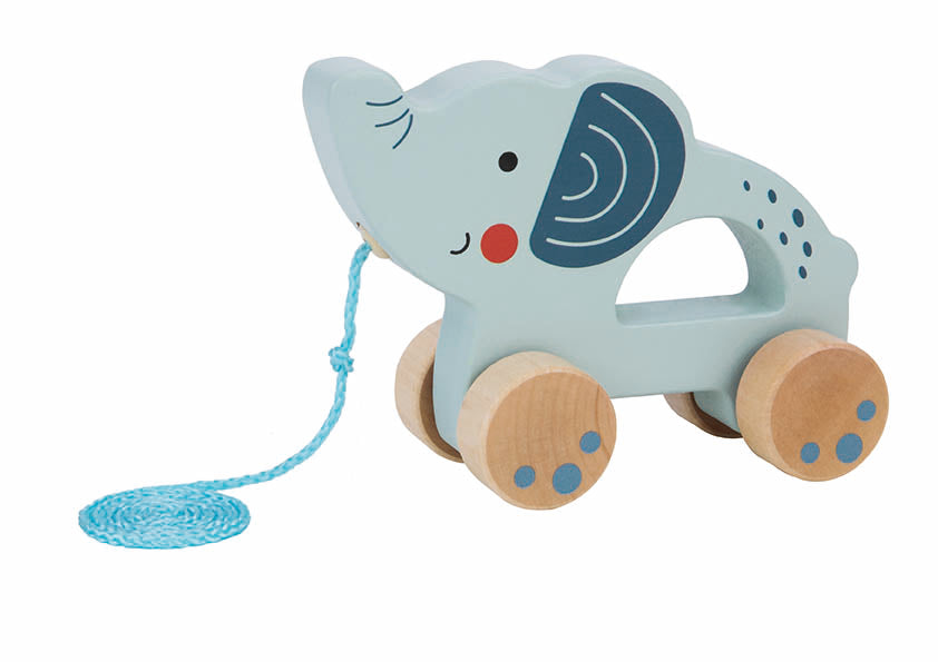 Pull Along Safari Animal Toy