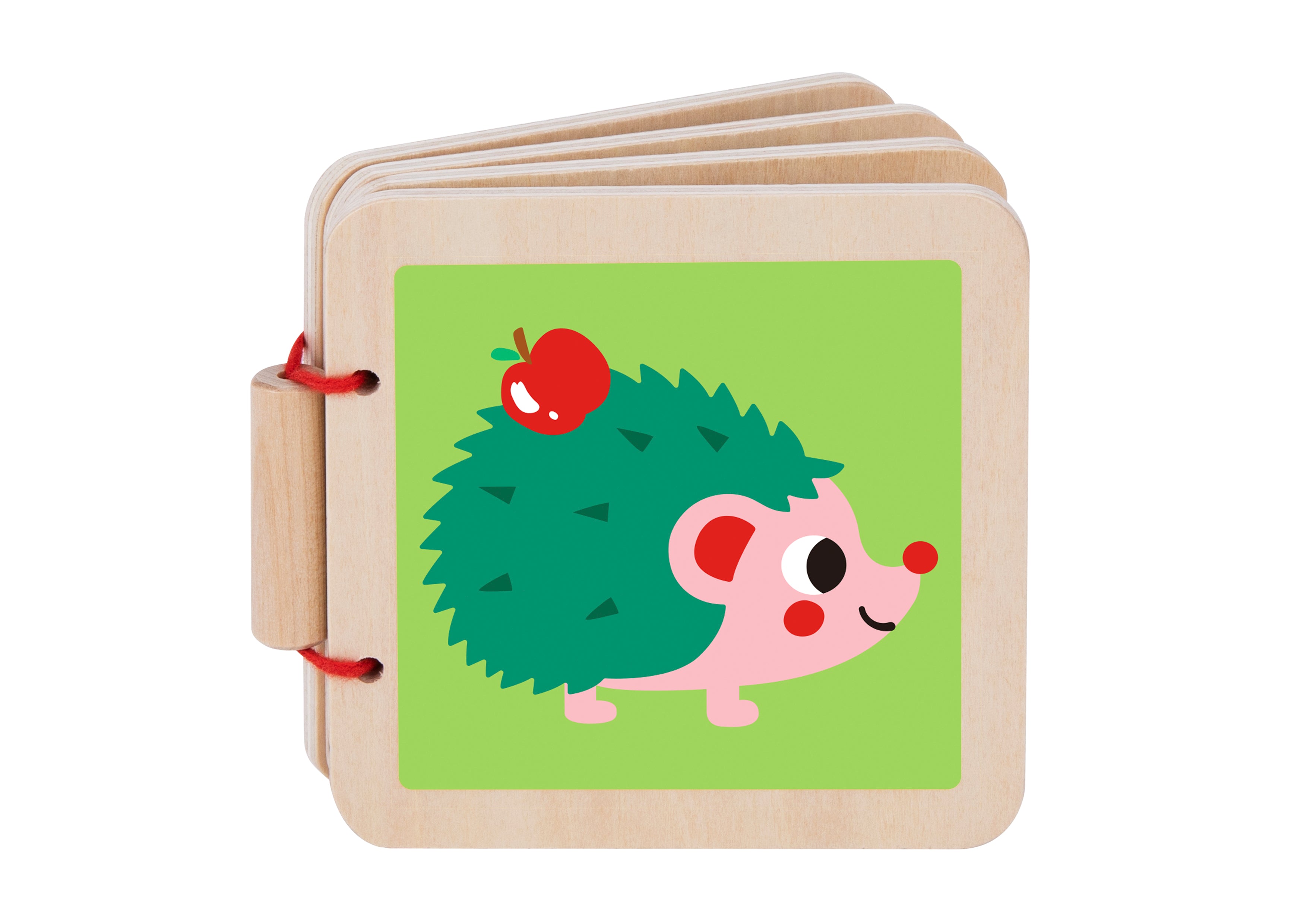7-12m Education Box